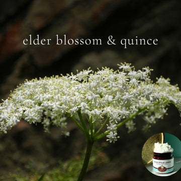 ELDER BLOSSOM AND QUINCE  scented Body Butter - best seller!!! - Buy  One 16 oz family size, get 1 any size 50% off deal