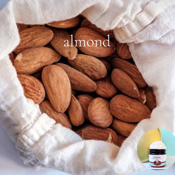 ALMOND scented Body Butter -  BOGO - Buy 16 oz family size, get 1 any size 50% off deal