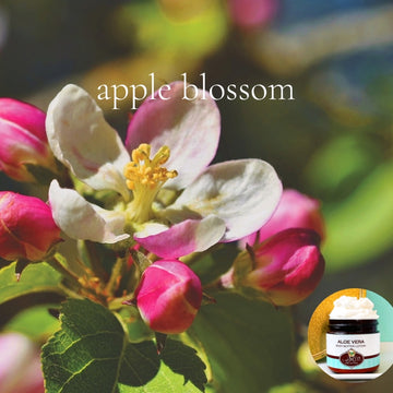APPLE BLOSSOM scented Body Butter - BOGO - Buy 16 oz family size, get 1 any size 50% off deal