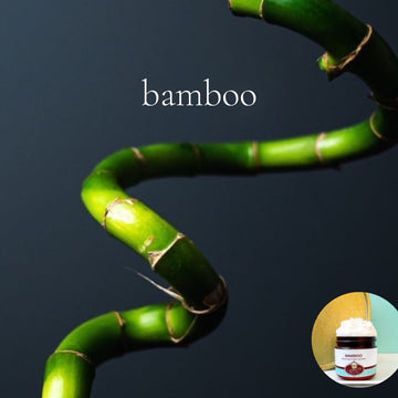 BAMBOO scented Body Butter - BOGO - Buy ONE 16 oz family size, get 1 any size 50% off deal