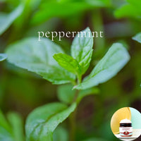 PEPPERMINT scented Body Butter - BOGO - Buy  One 16 oz family size, get 1 any size 50% off deal