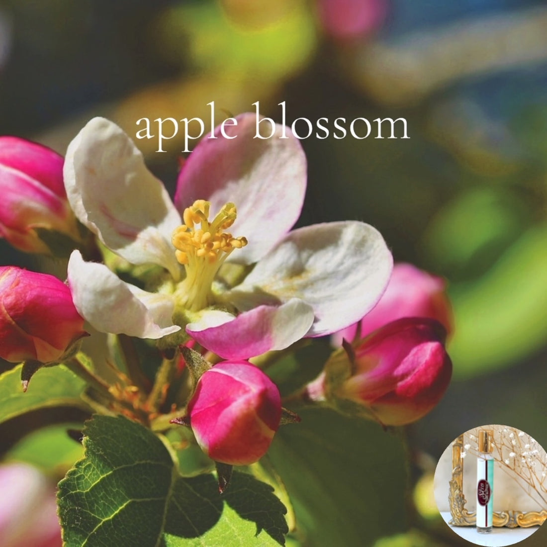 APPLE BLOSSOM travel perfume - BOGO deal