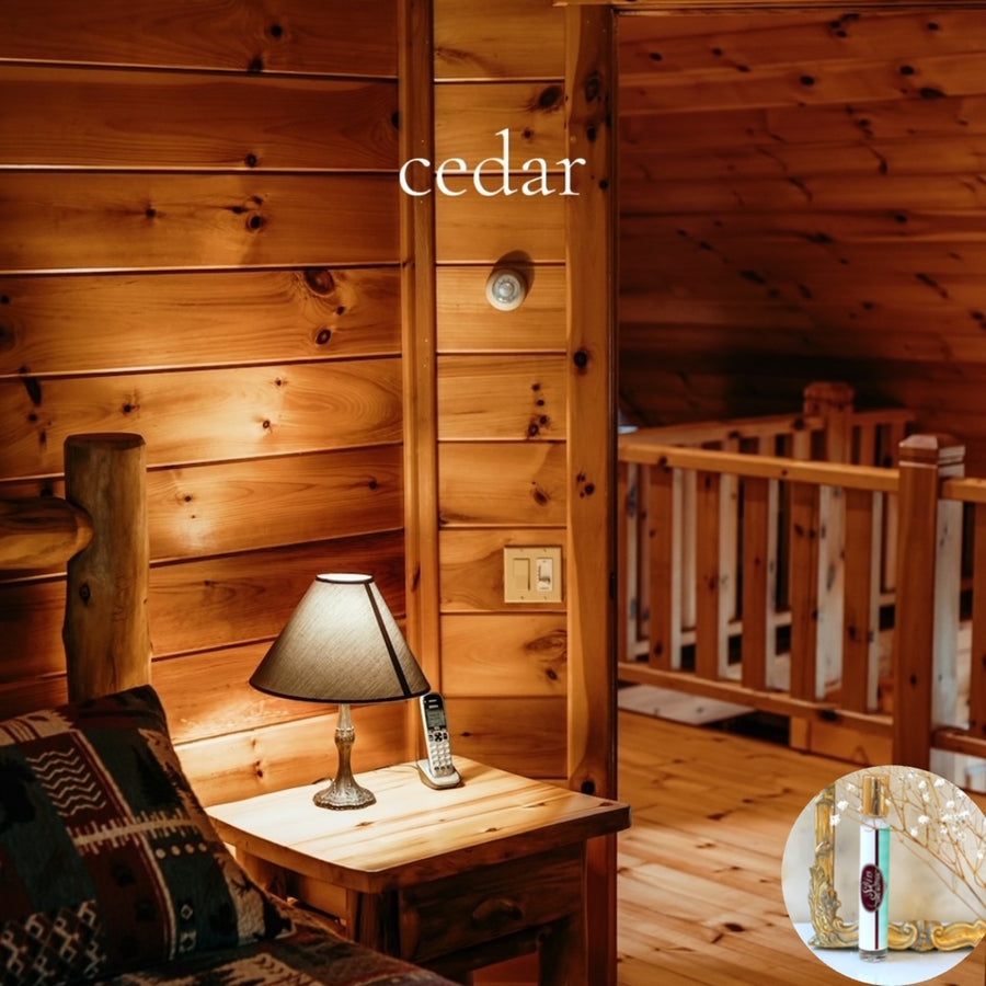 CEDAR travel perfume - BOGO deal