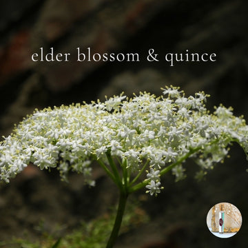 ELDER BLOSSOM AND QUINCE Scented Roll On best seller!!! ~  Strong Long Lasting Floral Scent