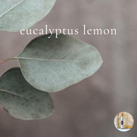 EUCALYPTUS LEMON travel perfume - BOGO deal