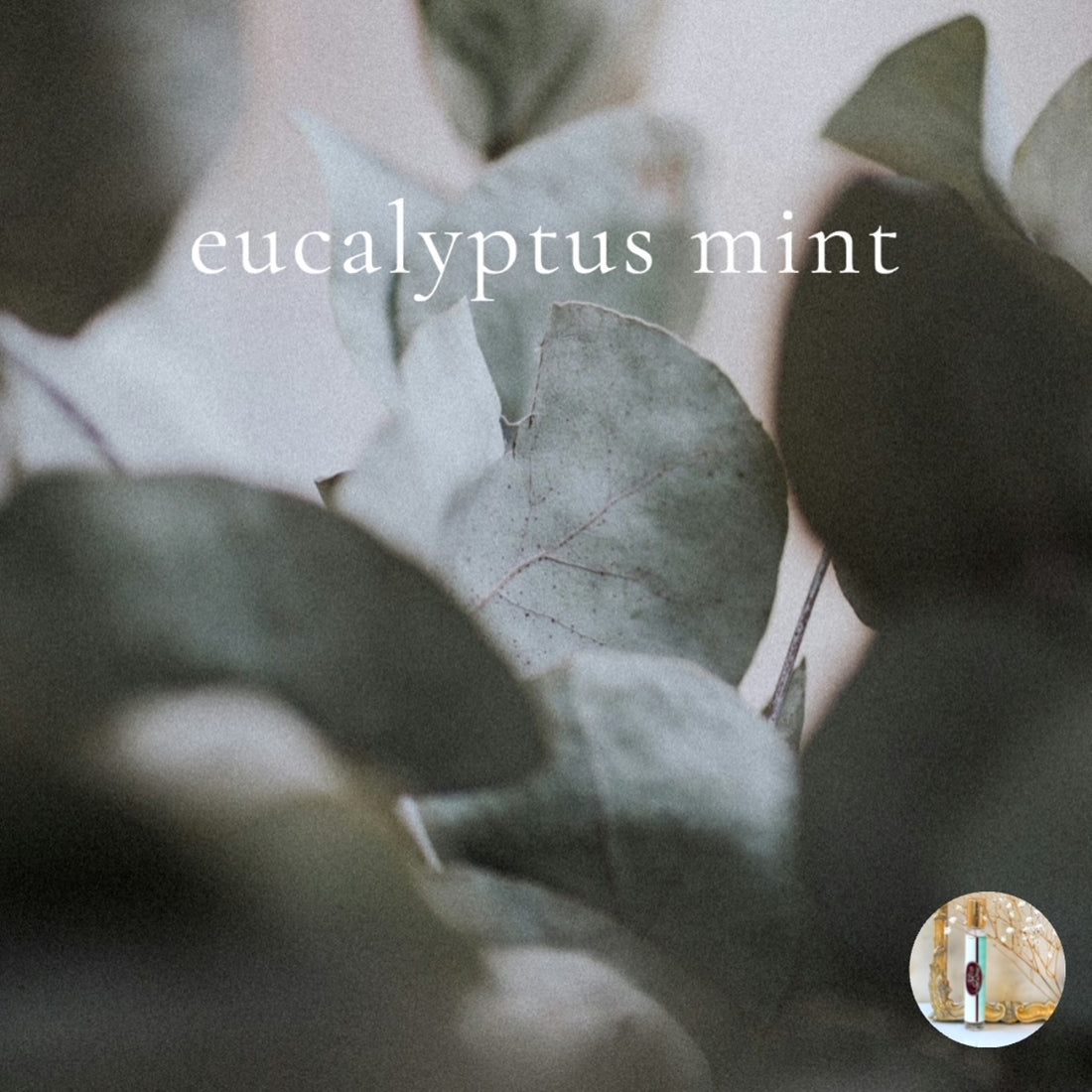 EUCALYPTUS MINT  travel perfume - BOGO deal