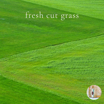 FRESH CUT GRASS travel perfume - BOGO deal