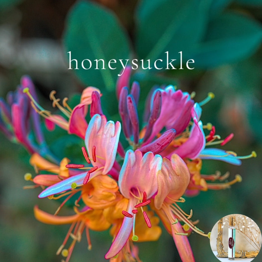 HONEYSUCKLE Scented travel perfume best seller!!!