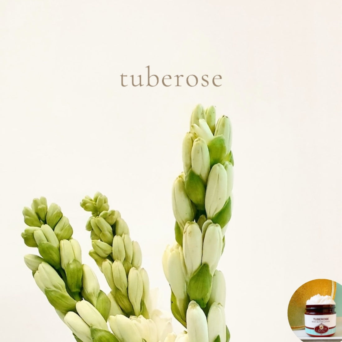 TUBEROSE scented Body Butter - BOGO - Buy  One 16 oz family size, get 1 any size 50% off deal