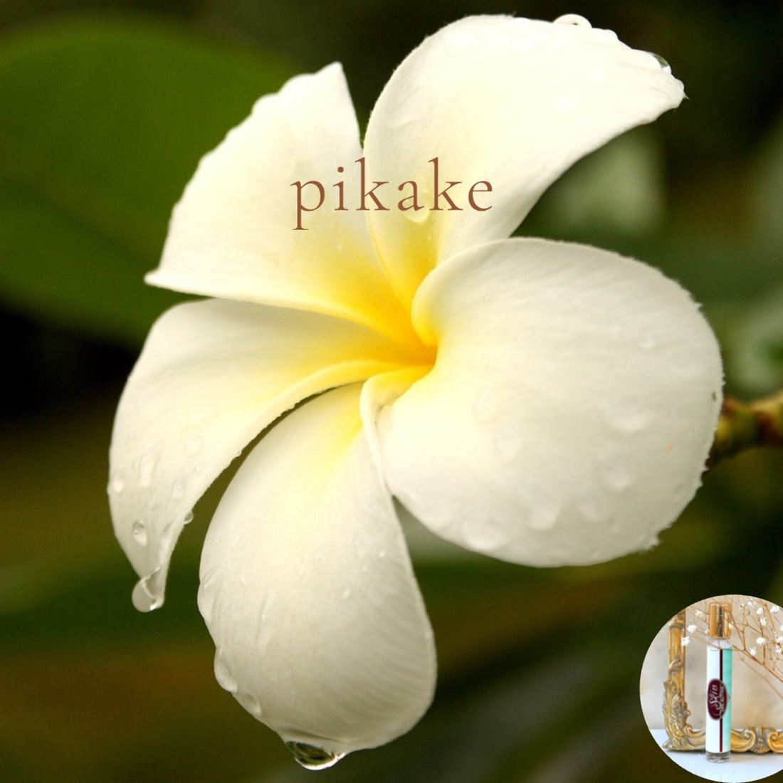 PIKAKE travel perfume - BOGO deal