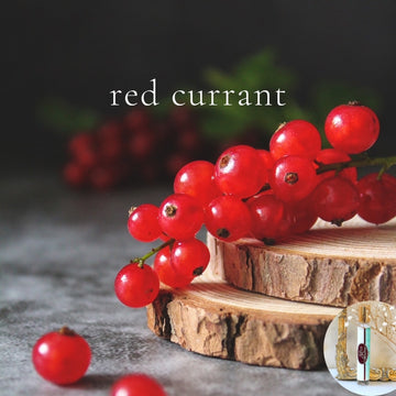 RED CURRANT travel perfume - BOGO deal