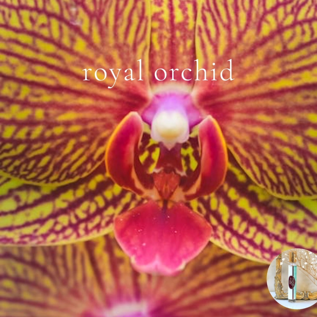 ROYAL ORCHID travel perfume - BOGO deal