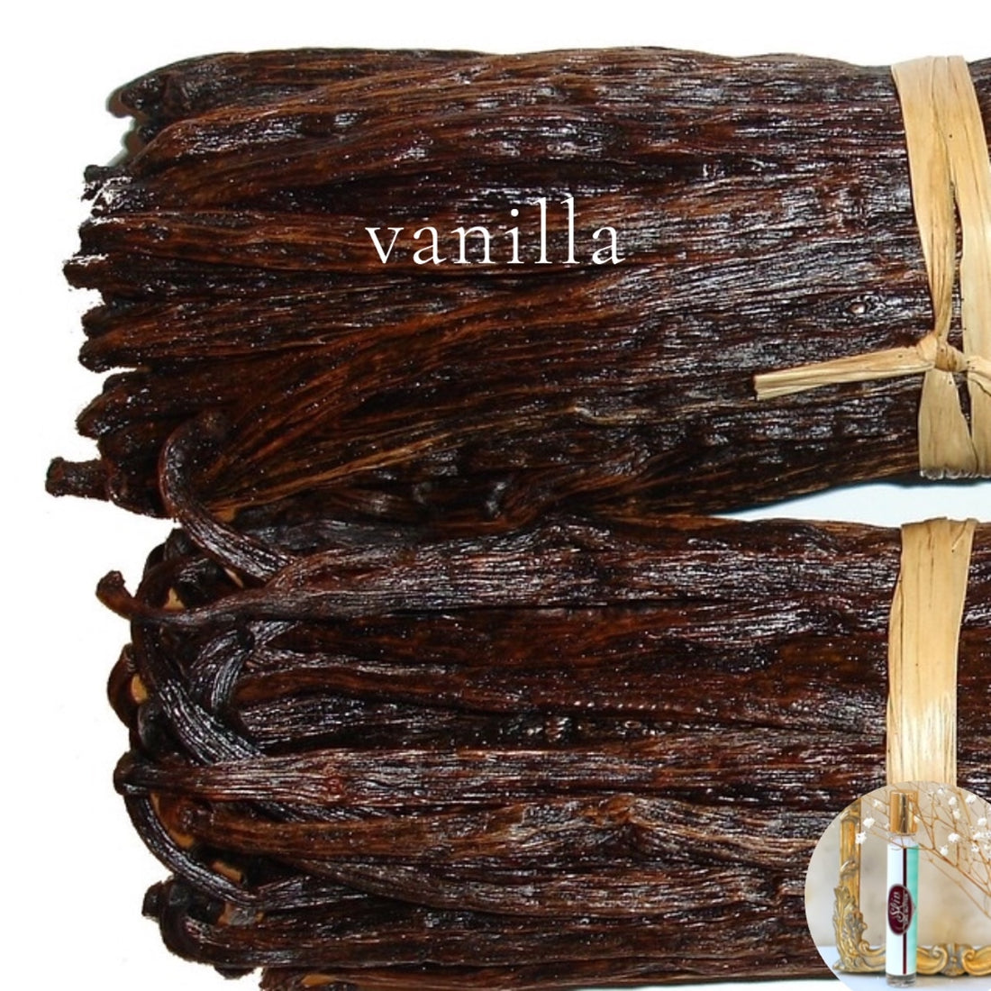 VANILLA  Roll On Perfume Deal ~  Long Lasting Comfort Scent