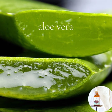 ALOE VERA - Scented Shea Oil - highly moisturizing