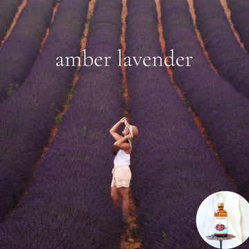 AMBER LAVENDER Scented Shea Oil - highly moisturizing