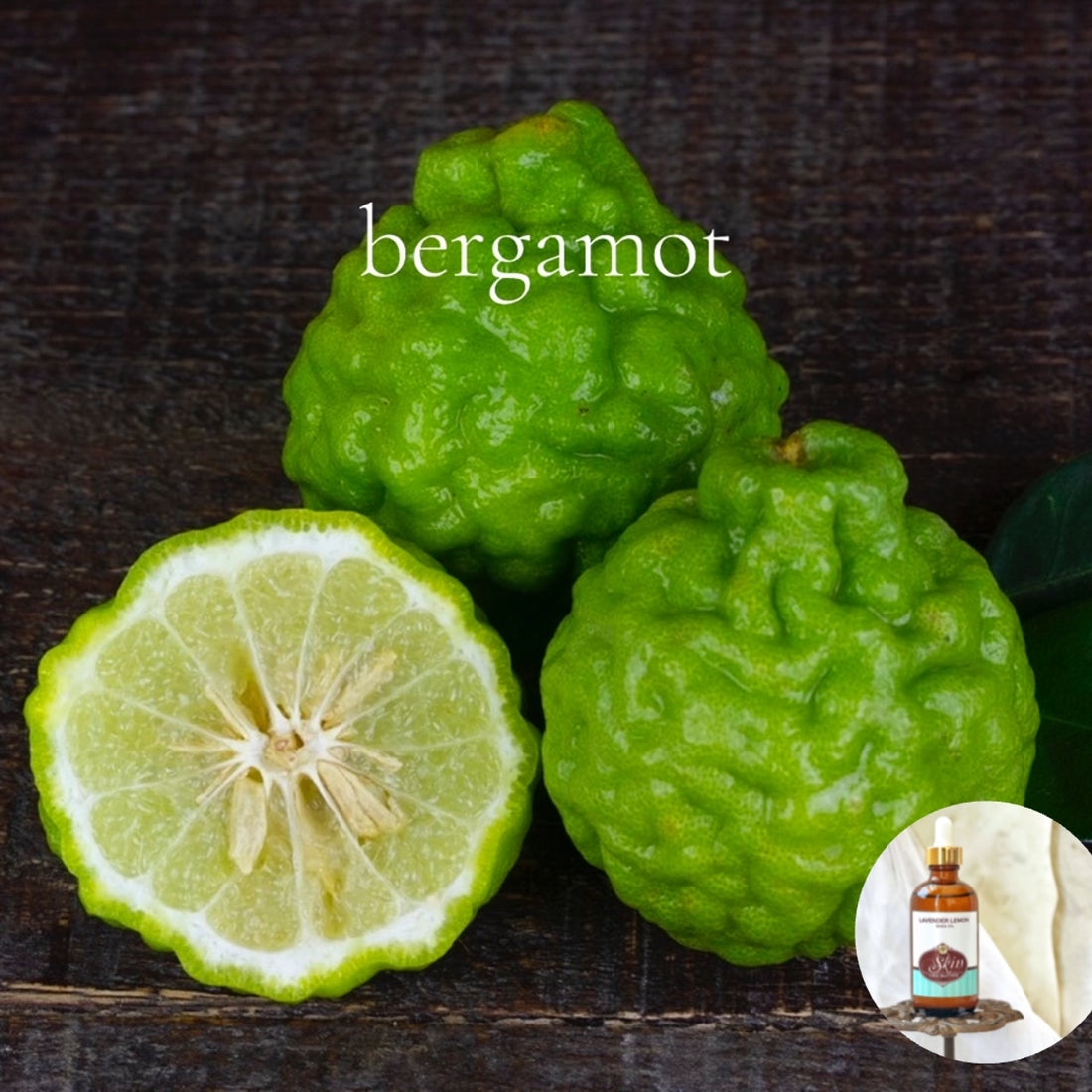 BERGAMOT Scented Shea Oil - highly moisturizing