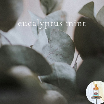 EUCALYPTUS MINT - Scented Shea Oil - highly moisturizing