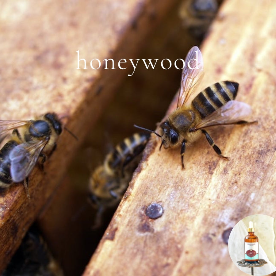 HONEYWOOD - Scented Shea Oil - highly moisturizing