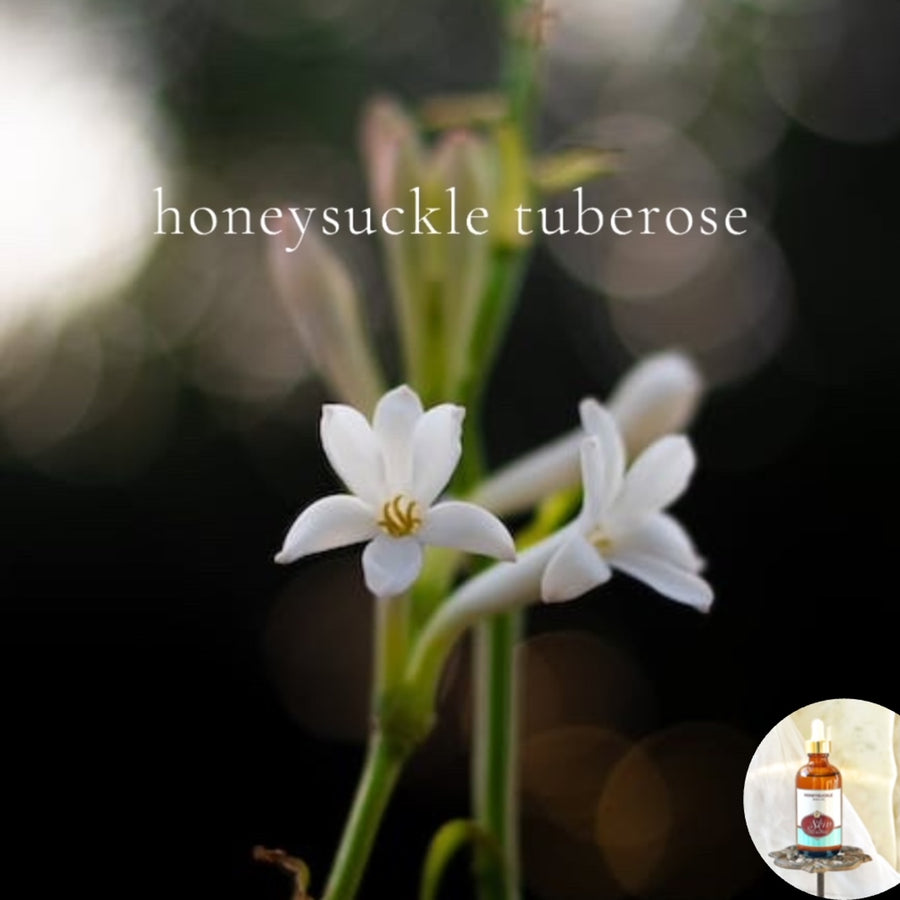 HONEYSUCKLE TUBEROSE -  Scented Shea Oil - highly moisturizing