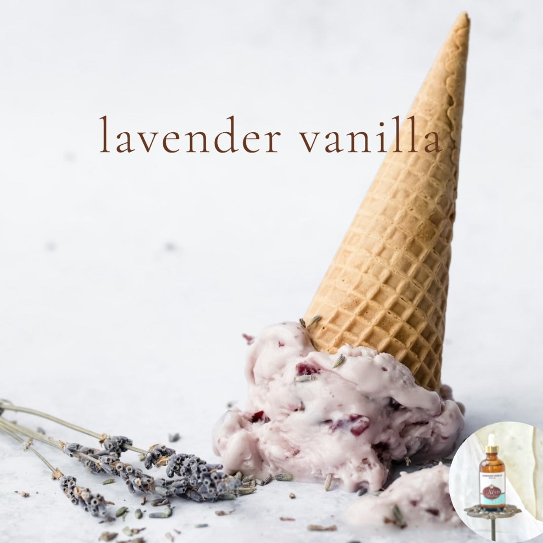 LAVENDER VANILLA - Scented Shea Oil - highly moisturizing