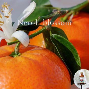 NEROLI BLOSSOM - Scented Shea Oil - highly moisturizing