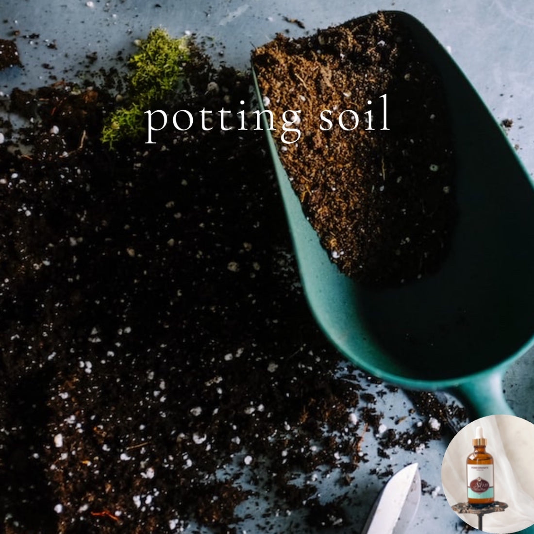 POTTING SOIL - Scented Shea Oil - highly moisturizing