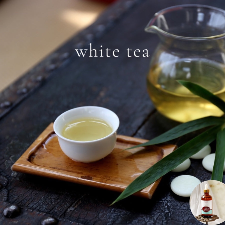 WHITE TEA - Skin Like Butter Wild Crafted Scented Shea Oil, 4 oz