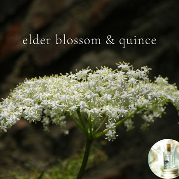 ELDER BLOSSOM AND QUINCE scented Room and Body Spray - best seller!!!