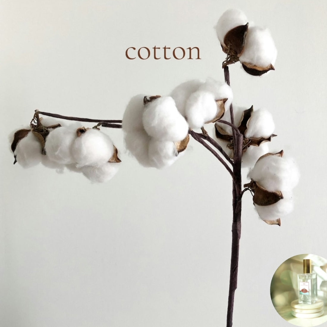 COTTON scented Room and Body Spray - BOGO DEAL