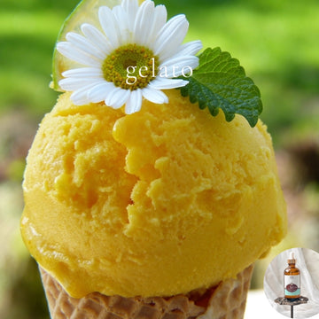 GELATO Scented Shea Oil - highly moisturizing