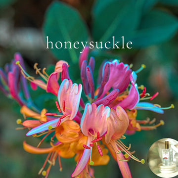 HONEYSUCKLE scented Room and Body Spray  - best seller!!!