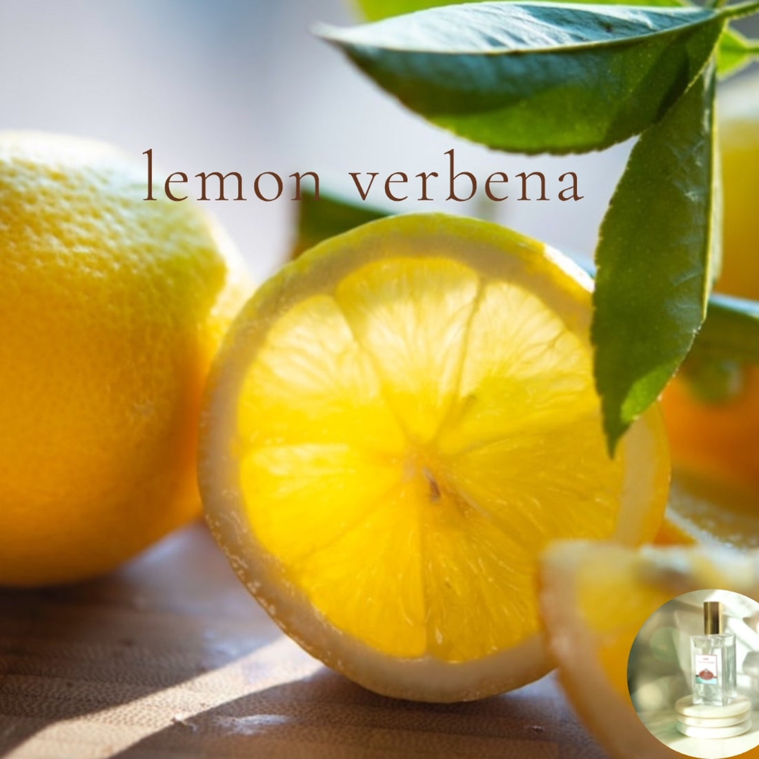 LEMON VERBENA scented Room and Body Spray - Buy 2 Get 2 for 50% off deal