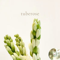 TUBEROSE - Room and Body Spray, free shipping