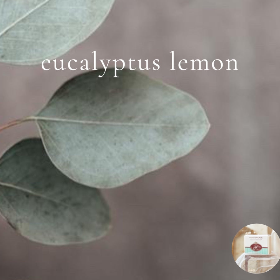 EUCALYPTUS LEMON- Skin Like Butter - Shea Butter 4 oz Soap Bar