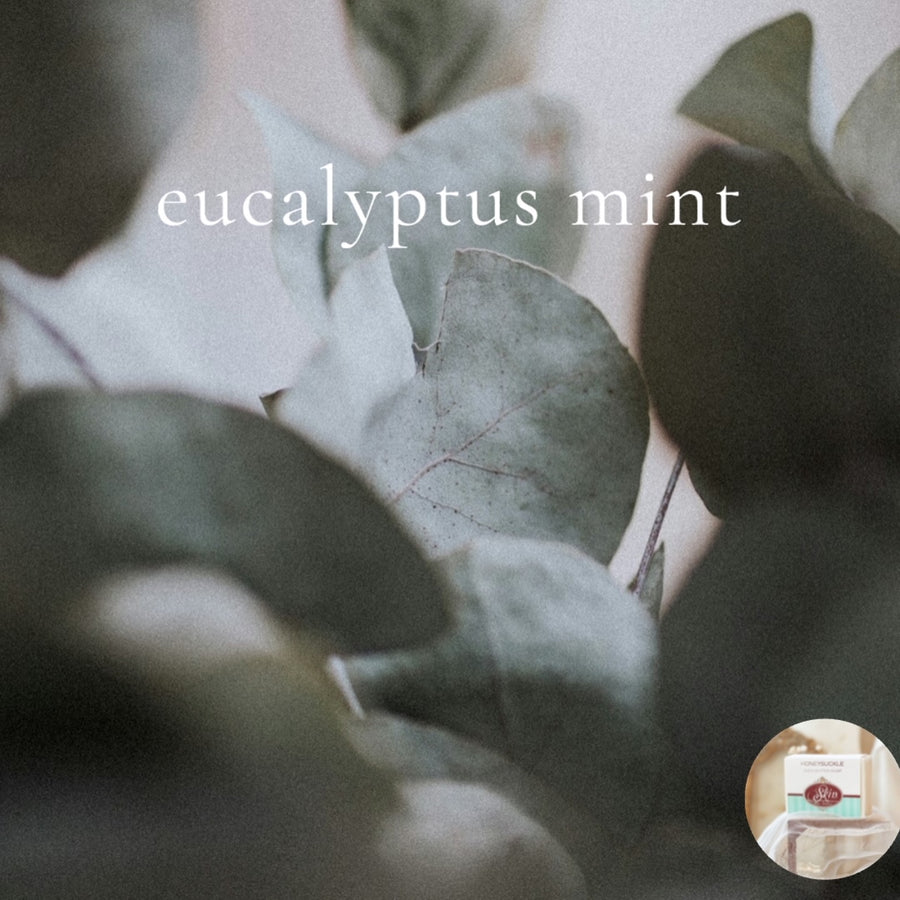 EUCALYPTUS MINT- Skin Like Butter - Shea Butter Soap