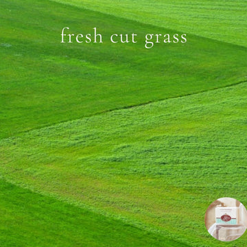 FRESH CUT GRASS - Skin Like Butter - Shea Butter 4 oz Soap Bar