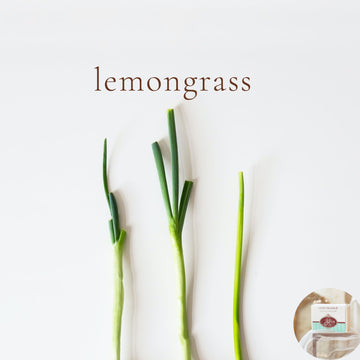 LEMONGRASS - Skin Like Butter - Shea Butter 4 oz Soap Bar