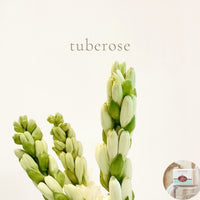 TUBEROSE -  Skin Like Butter - Shea Butter 4 oz Soap Bar