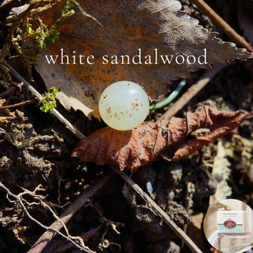 WHITE SANDALWOOD -  Skin Like Butter - Shea Butter 4 oz Soap Bar