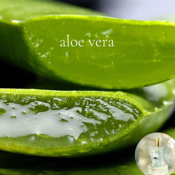 ALOE VERA - Room and Body Spray