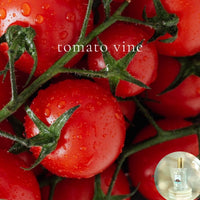 TOMATO VINE - Room and Body Spray, Buy 2 get 1 FREE