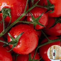 TOMATO VINE travel perfume - BOGO deal