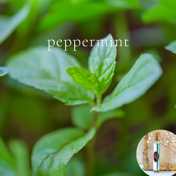 PEPPERMINT travel perfume - BOGO deal