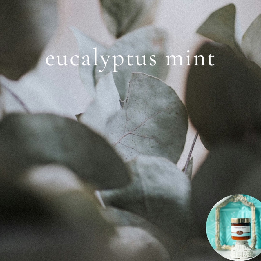 EUCALYPTUS MINT scented thick luxurious Body Butter in 2 oz to 16 oz jars or bottles