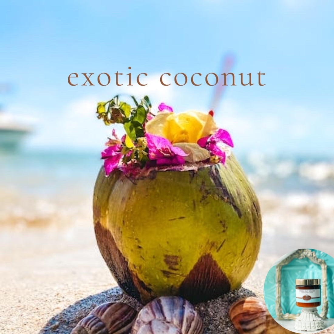 EXOTIC COCONUT scented Body Butter in 2 oz to 16 oz jars or bottles