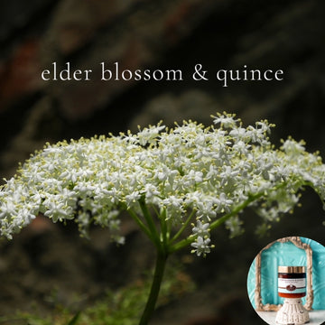 ELDER BLOSSOM AND QUINCE scented thick luxurious Body Butter in 2 oz to 16 oz jars or bottles