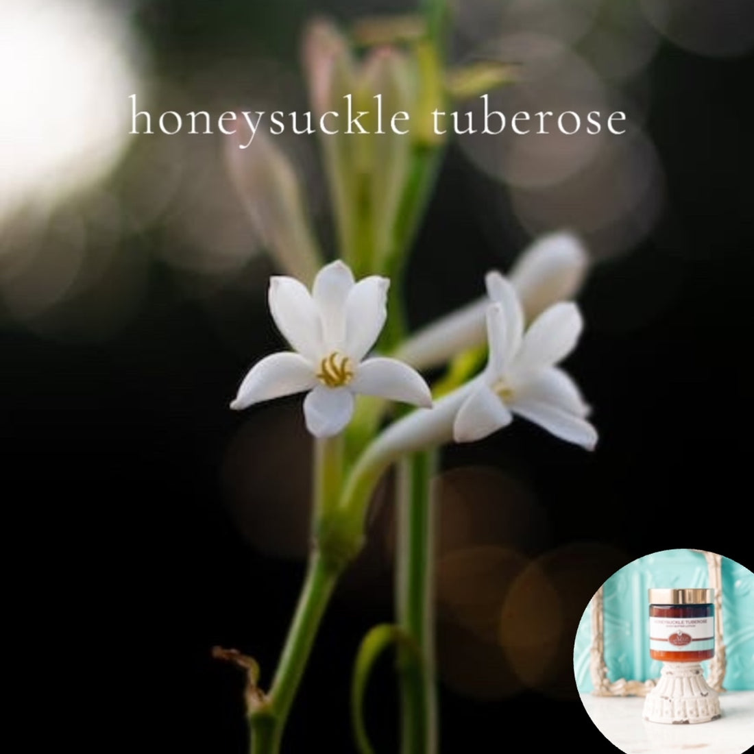 HONEYSUCKLE TUBEROSE scented thick luxurious Body Butter in 2 oz to 16 oz jars or bottles