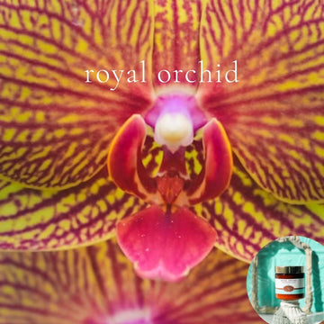 ROYAL ORCHID scented Body Butter- best seller!!! - BOGO DEAL