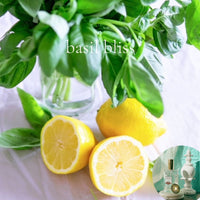 BASIL BLISS scented Room and Body Spray - BOGO DEAL