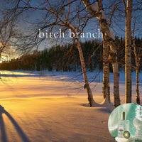 BIRCH BRANCH scented Room and Body Spray - BOGO DEAL